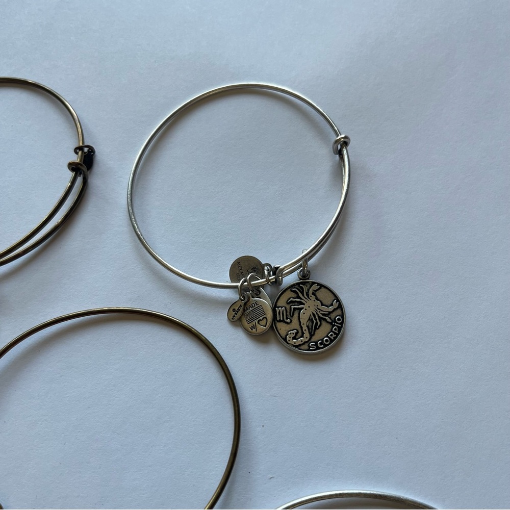 Alex and Ani Assorted Charm Bracelets - Picture 4 of 6